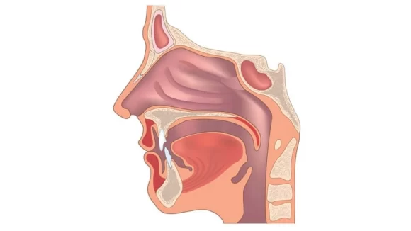 Kulak Burun Boğaz | KBB