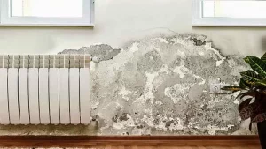 rutubetli duvar görüntüsü