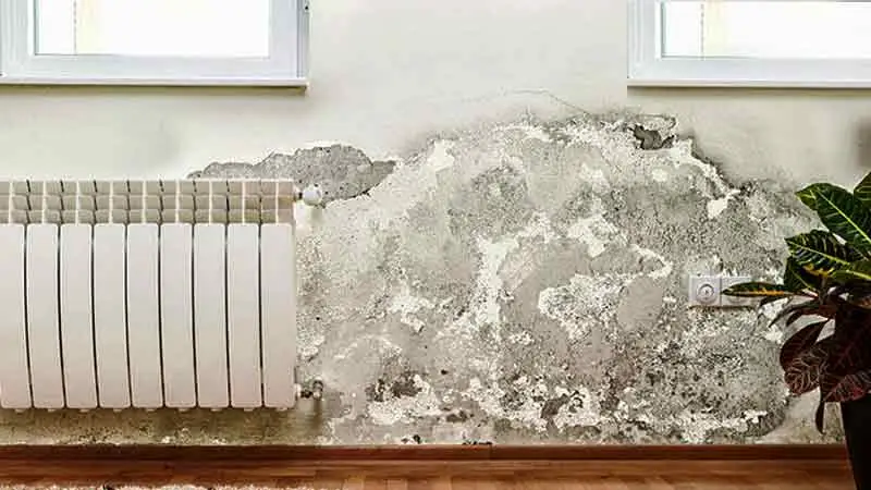 rutubetli duvar görüntüsü