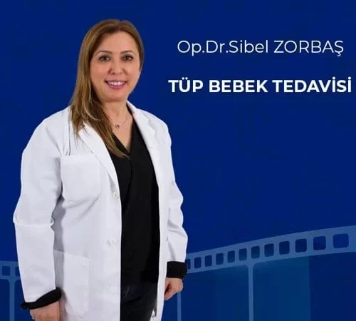 Tüp Bebek Tedavisi