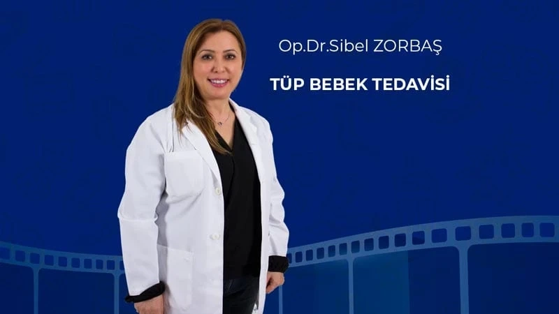 Tüp Bebek Tedavisi
