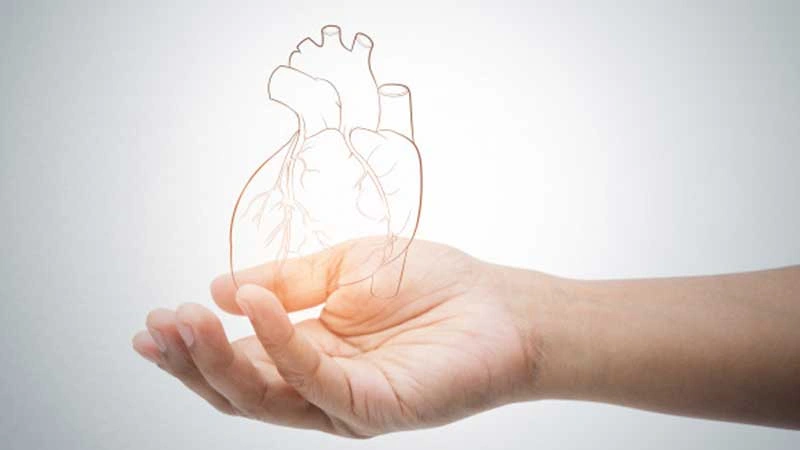 Kalp damar cerrahisi (KVC)