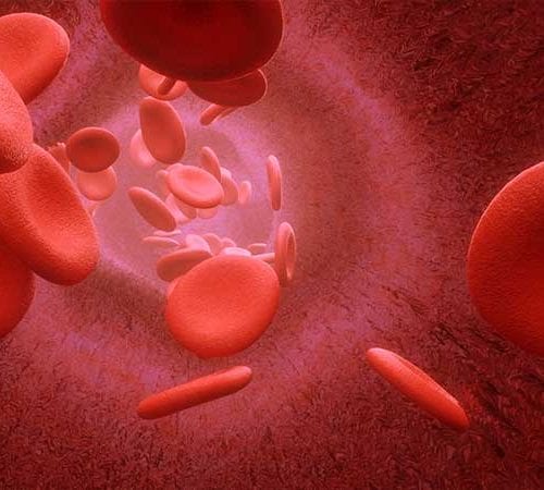 Hematoloji