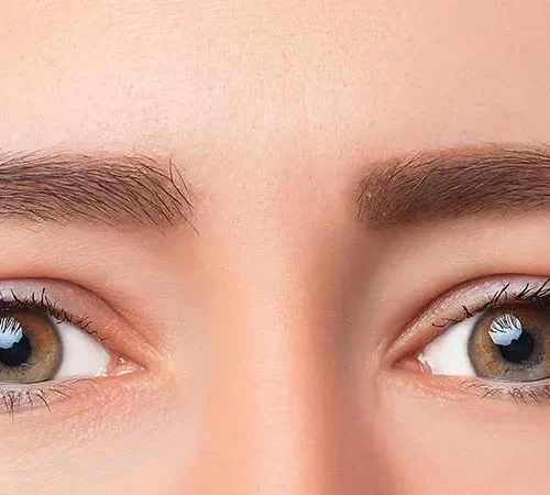 Retina
