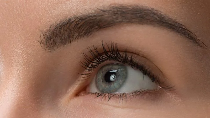 Gözde Sinek Uçuşması kadın gözü