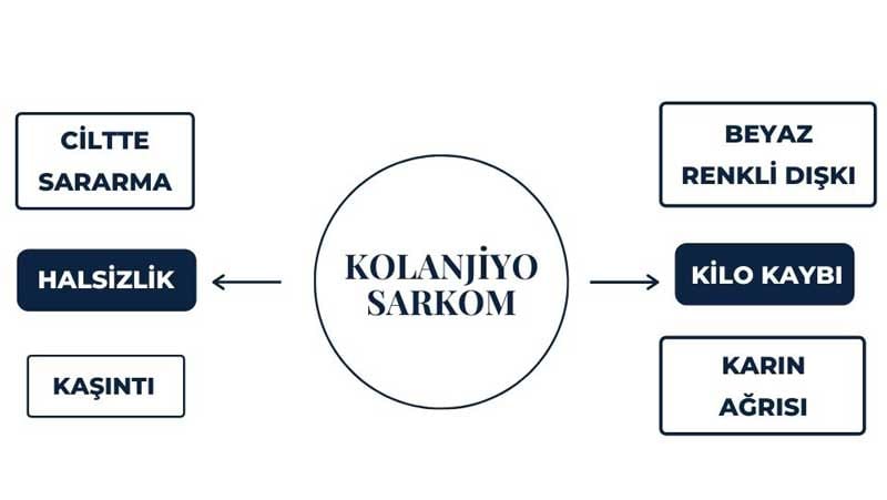 Safra Kanalı Kanseri