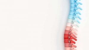 الجنف (ميلان جانبي في العمود الفقري)