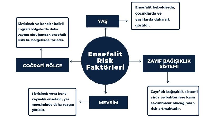 Ensefalit Risk Faktörleri