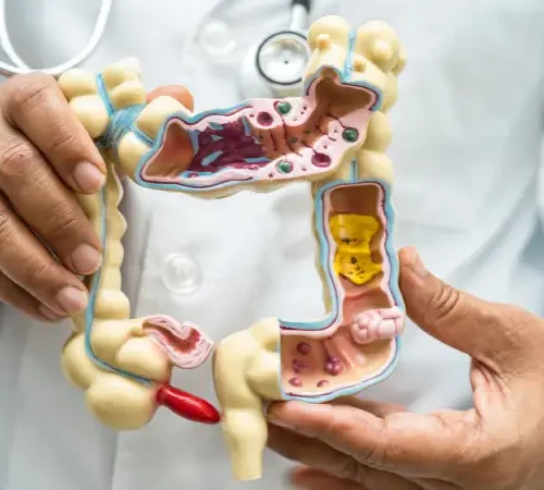 Gastroenteroloji Hastalıkları