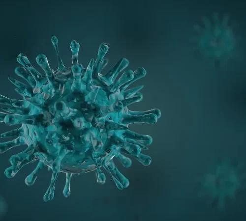 kronik hepatit virüsü