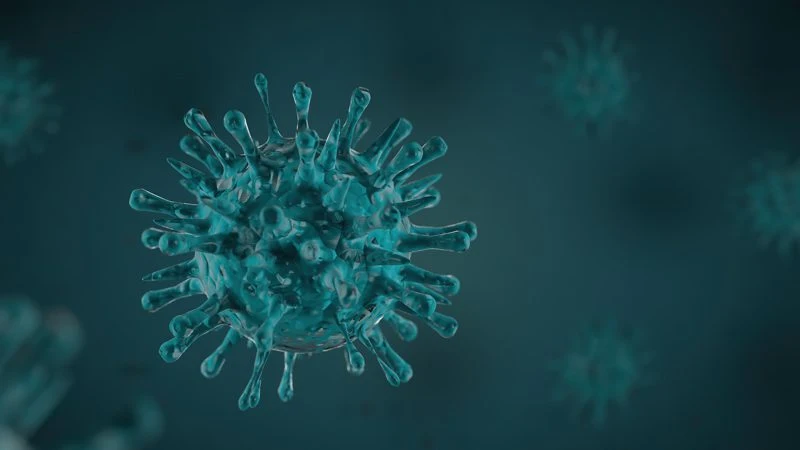 kronik hepatit virüsü