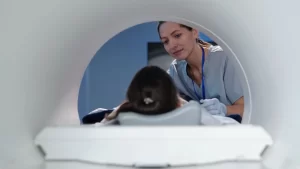 emardan sonra ne yapmalı hasta ve radyolog