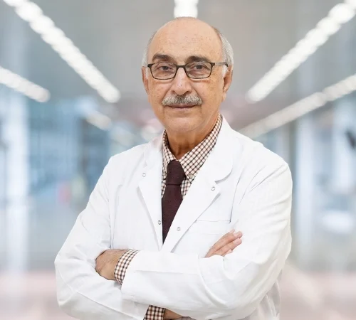 Profesör Doktor Ahmet Ferruh Gezen