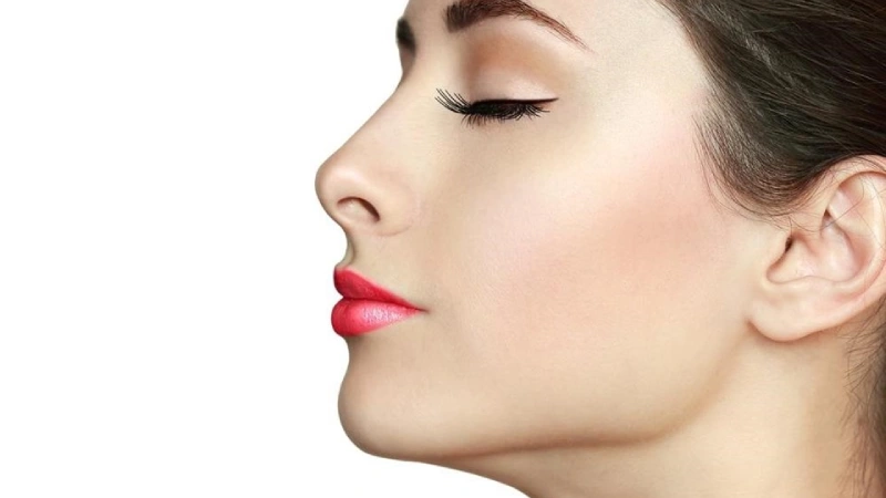 естетика на носа