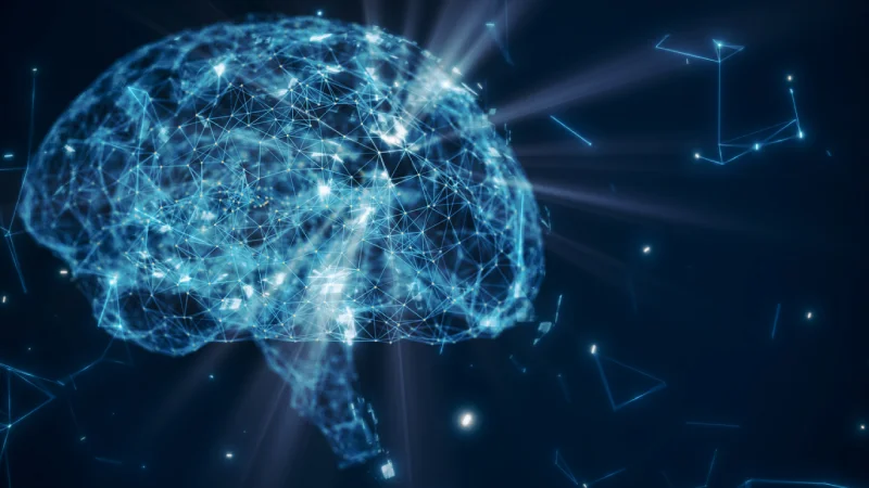 Beyin ve Sinir Cerrahisi