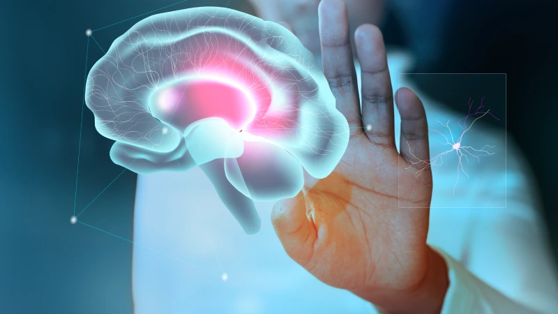 Nöroşirurji Nedir?