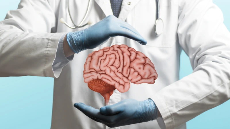 Nöroşirurji Neye Bakar?