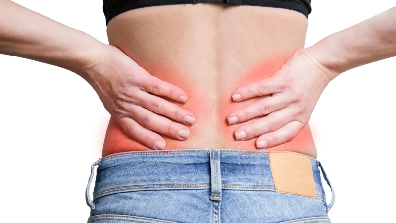 Damar yumağı olarak bilinen arteriovenöz malformasyon (AVM) hastalığı damar hastalıklarından biridir. Akciğerlerde temizlenen kan, kalpten atardamarlarla içindeki oksijeni ve besini hücrelere kılcal damarlar aracılığıyla iletir. Hücrelerdeki atıkları ise toplardamarlara yine kılcal damarlar vasıtasıyla iletir. Yani atardamarlar ile toplardamarları bu kılcal damar ağı birbirine bağlar. Hücrelerin beslenmesi ve atıkların uzaklaştırılması bu yapı sayesinde mümkündür. AVM hastalığı, iç organların atardamarlar ile toplardamarlar arasında, bilinmeyen bir nedenden ötürü kılcal damar ağı gelişemediğinde, atardamarların ve toplardamarların direkt bağlantılı hale gelmesiyle oluşan lezyonlardır. Damar yumağı olarak tanımlanan bu lezyonlar, vücudun herhangi bir yerinde oluşabilir ve tüm vücudu etkilemez. Sinir sisteminde (beyin ve omurilik) olabilir.- böbreklerini tutan bir insan