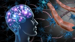 Huntington Nedir? Nasıl Başlar?