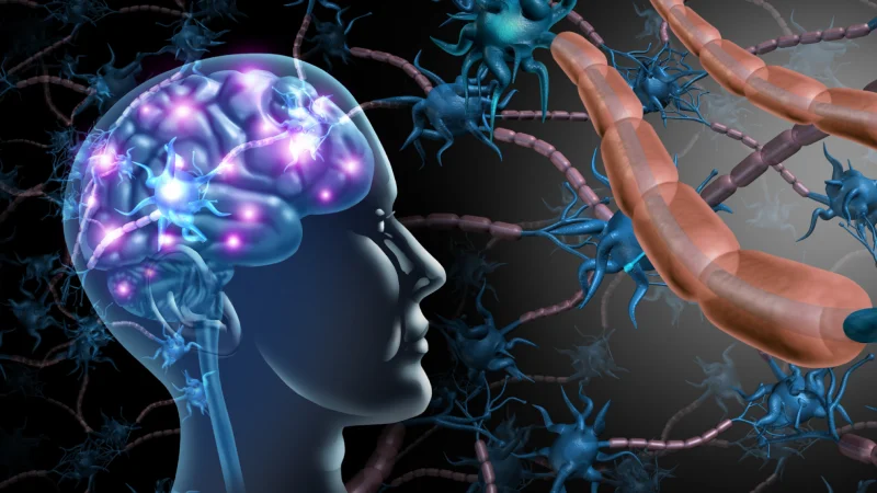 Huntington Nedir? Nasıl Başlar?