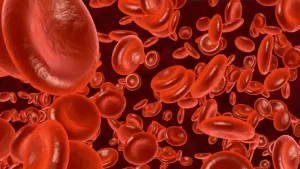 Hemoglobin High (Yüksek Hemoglobin) Nedir? - hemoglobin hücreleri