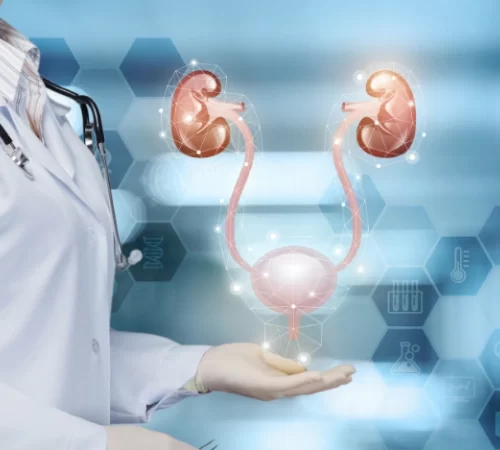 Üroenkolojik Hastalıklar