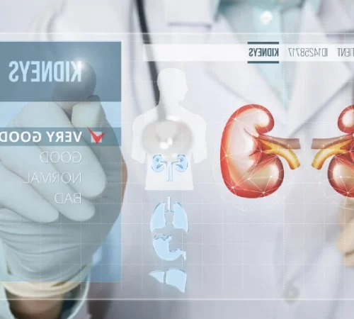 Böbrek Nakli: Sık Sorulan Sorular - böbrek nakli