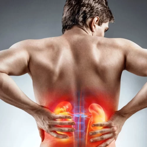 Böbrek Üstü Bezi Kanseri (Adrenal Kanser) Nedir?