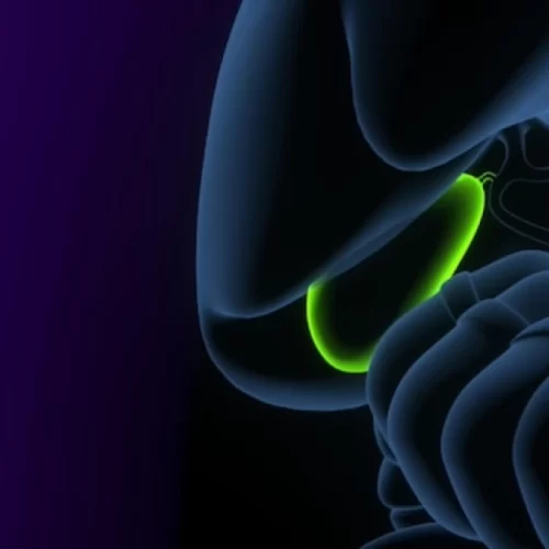 gallbladder-cancer-treatment-in-turkey Gallbladder Cancer Treatment in Turkey