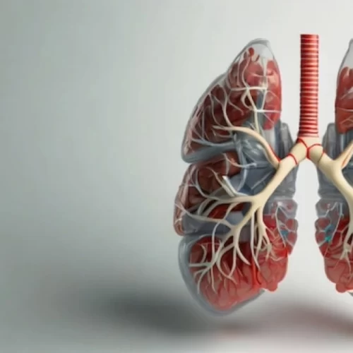 lung-cancer-treatment-in-turkey Lung Cancer Treatment in Turkey