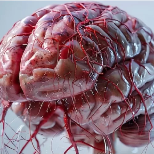 brain-tumour-treatment-in-turkey Brain Tumour Treatment in Turkey