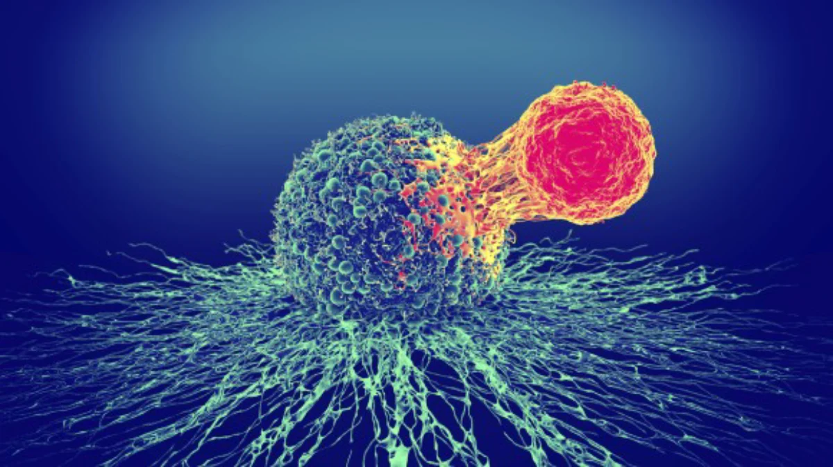 شکل‌گیری سرطان