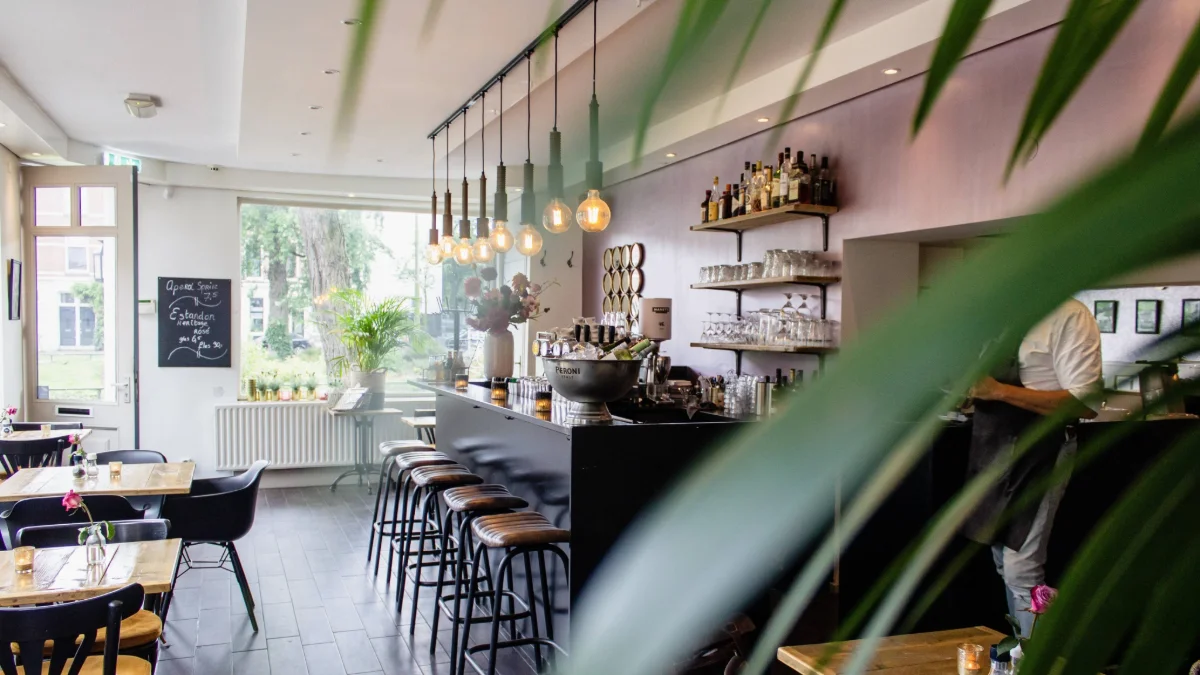 Cafés Near Avicenna International Hospital