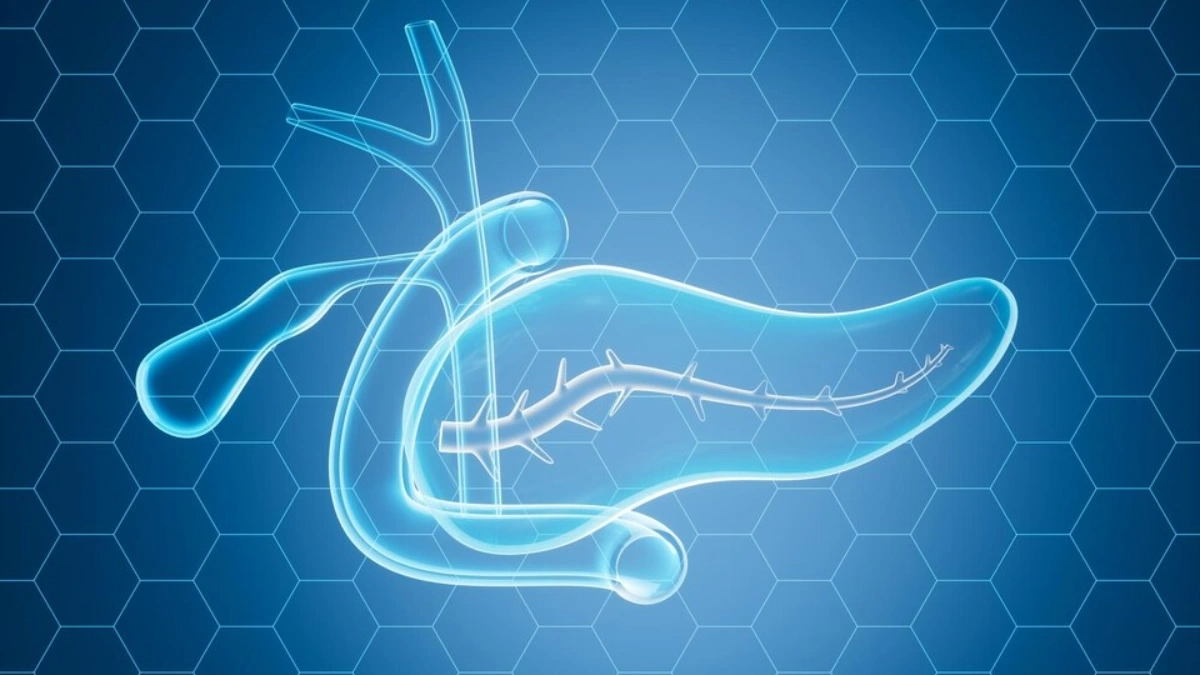 Operație de diversiune biliopancreatică în Turcia