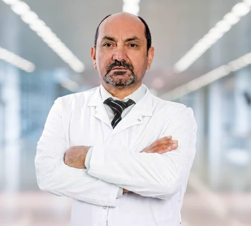 Prof. Dr. Cemal Goktas