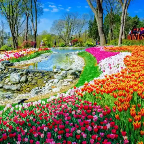 Emirgan Park